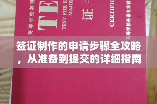 长城签证制作的申请步骤全攻略，从准备到提交的详细指南